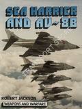 Sea Harrier and AV-8B by JACKSON, Robert