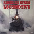 Book cover of American Steam Locomotive by SOLOMON, Brian