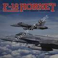 F-18 Hornet: Multi-Mission Warplane by SHAW, Robbie