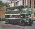 Book cover of Blue Triangle - A nostalgic look at AEC buses by TOWNSIN, Alan 