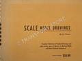 Scale Model Drawings - Complete Collection of finished Drawings and other prints, signs of interest by TORRENS, Les