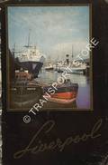 The City of Liverpool Official Handbook by City of Liverpool