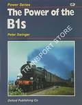 Book cover of The Power of the B1s by SWINGER, Peter 
