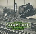 Book cover of Steam Shed Portrait  by FORSYTHE, H.G. 